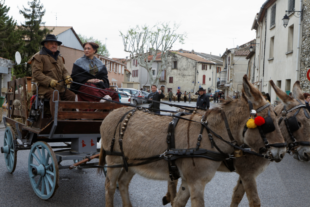 Fete de la transhumance Senas 28042013 101