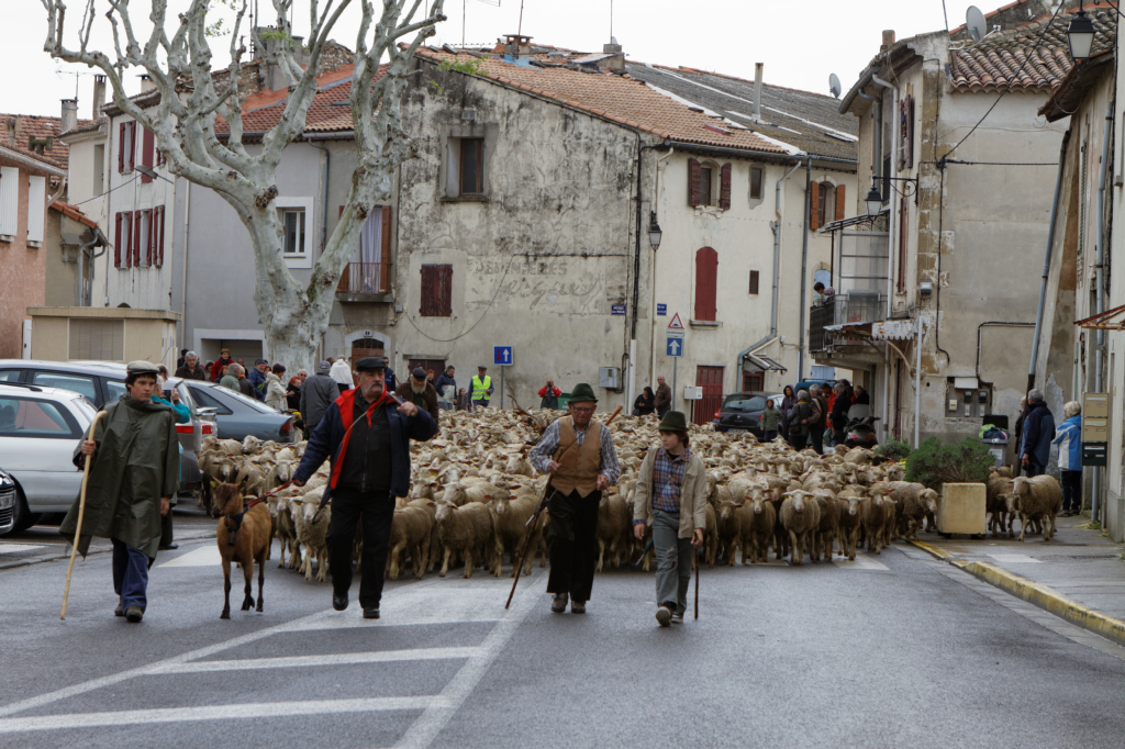 Fete de la transhumance Senas 28042013 102