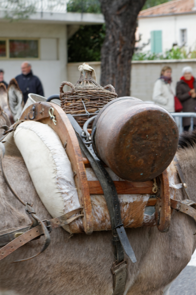 Fete de la transhumance Senas 28042013 134