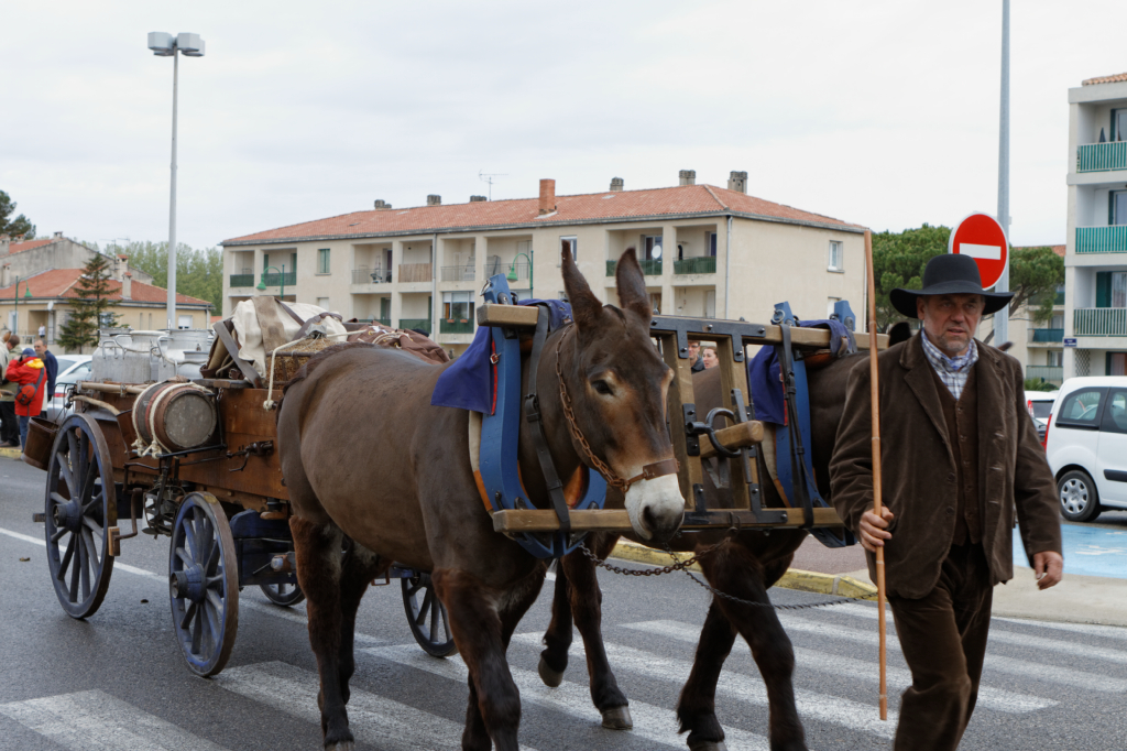 Fete de la transhumance Senas 28042013 137