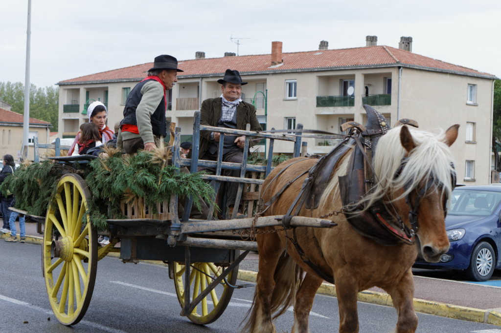 Fete de la transhumance Senas 28042013 138