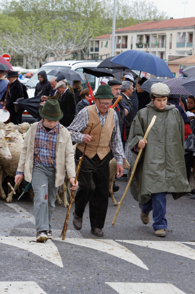 Fete de la transhumance Senas 28042013 145