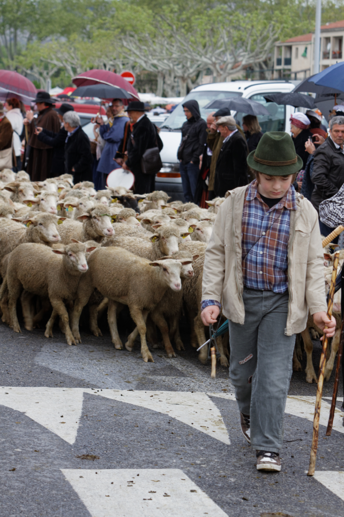Fete de la transhumance Senas 28042013 146
