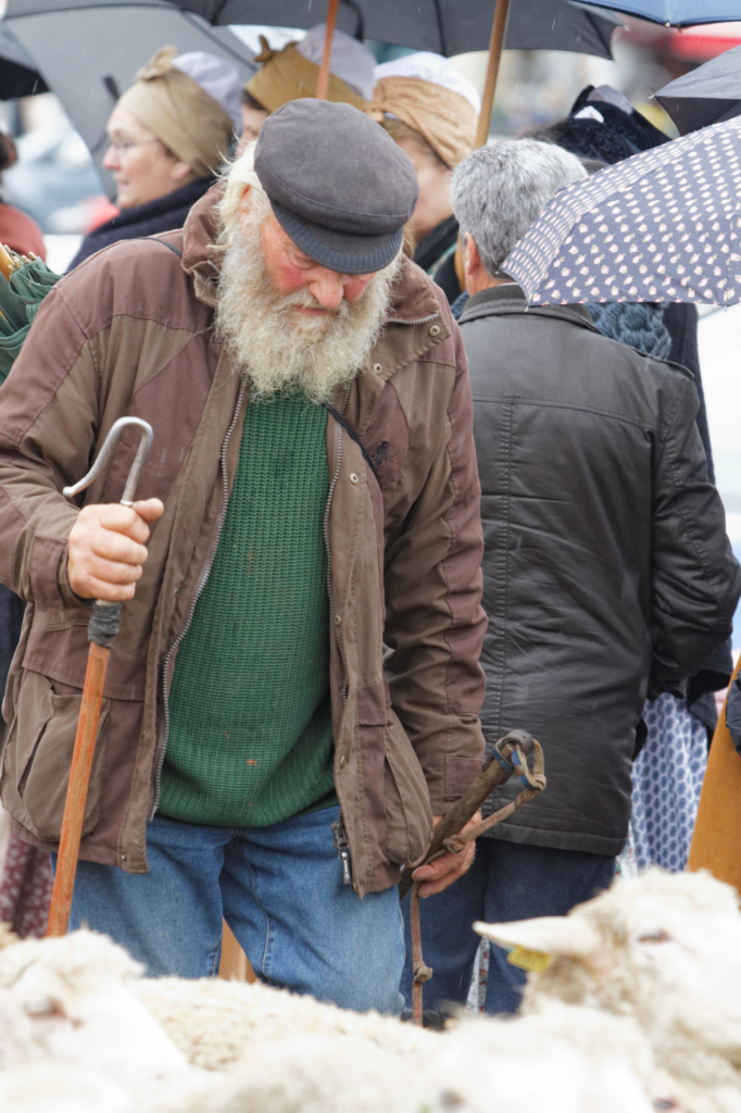 Fete de la transhumance Senas 28042013 147