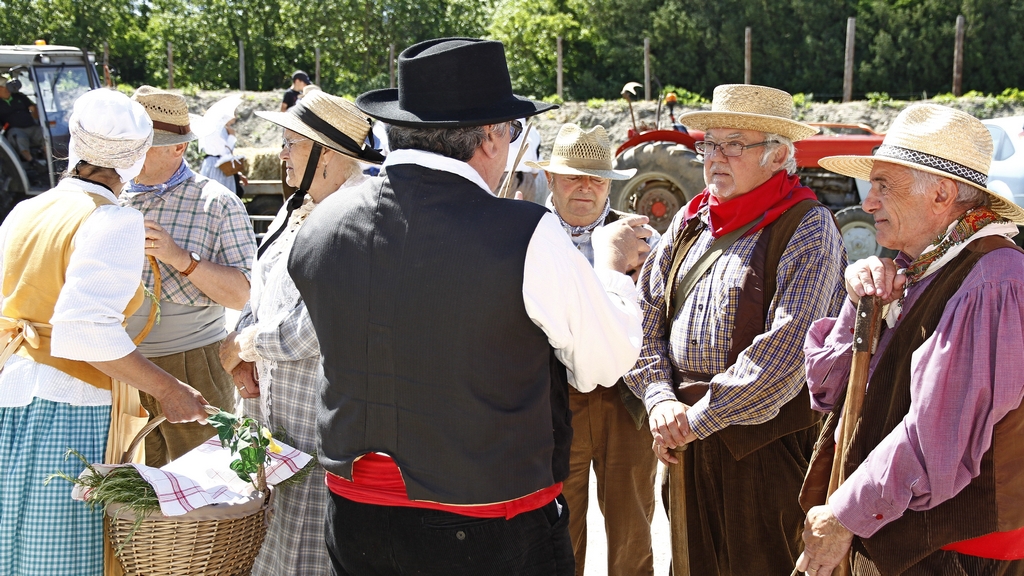 Alleins taurin ricard 08062012 009