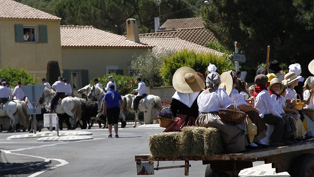 Alleins taurin ricard 08062012 046