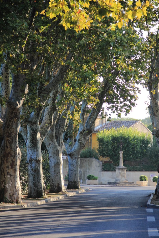 Le Paradou 02102011 01