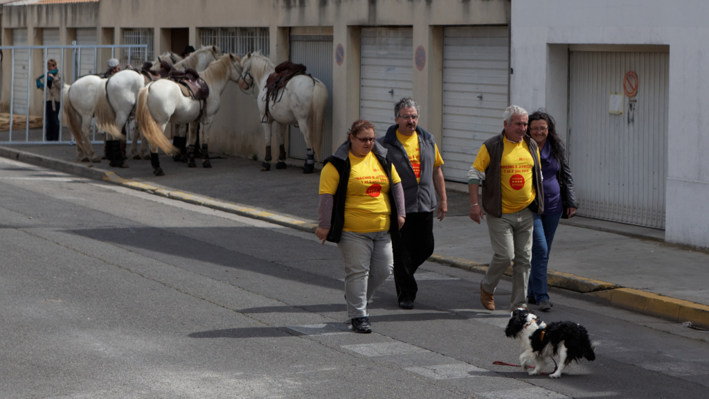 Abrivado 01062013 02