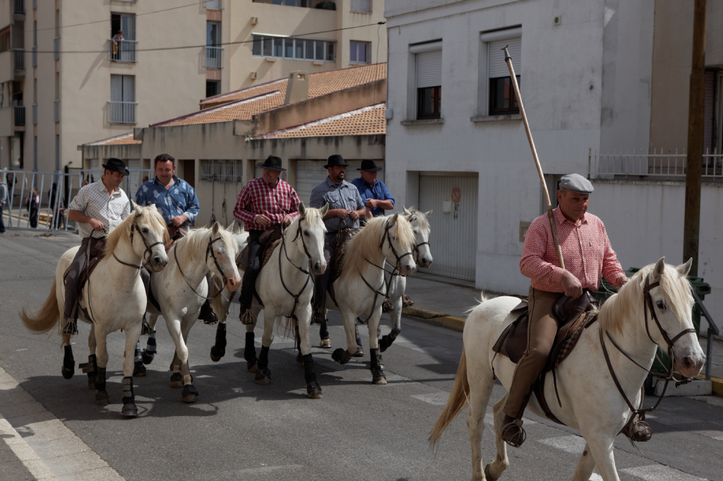 Abrivado 01062013 03