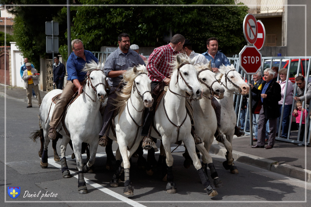 Abrivado 01062013 07