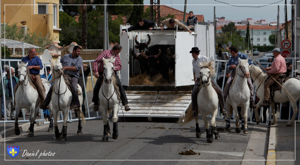 Abrivado 01062013 11