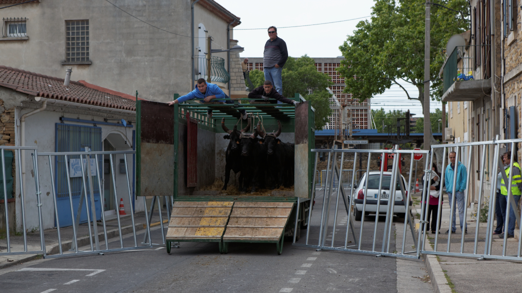Abrivado 01062013 25