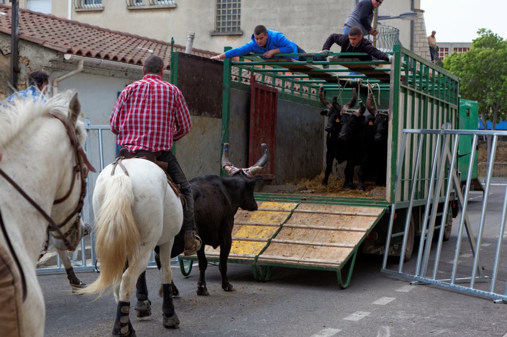 Abrivado 01062013 26
