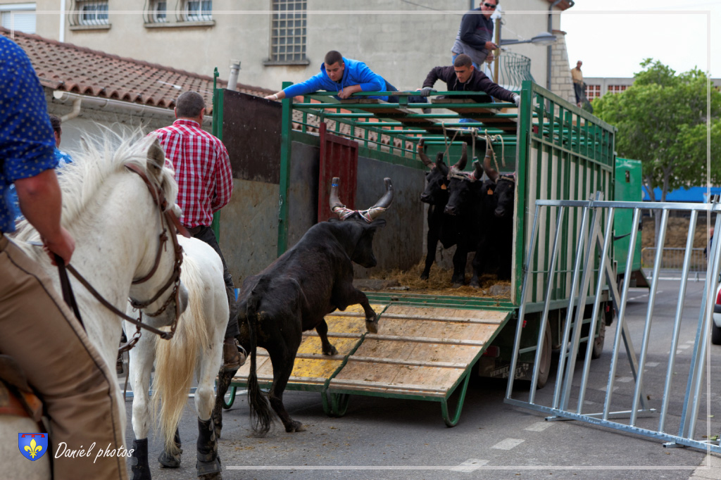 Abrivado 01062013 27