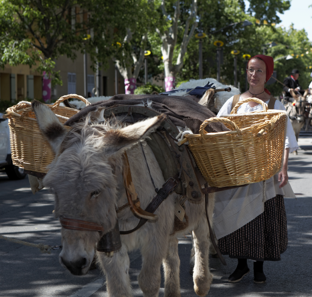 defile en ville 077