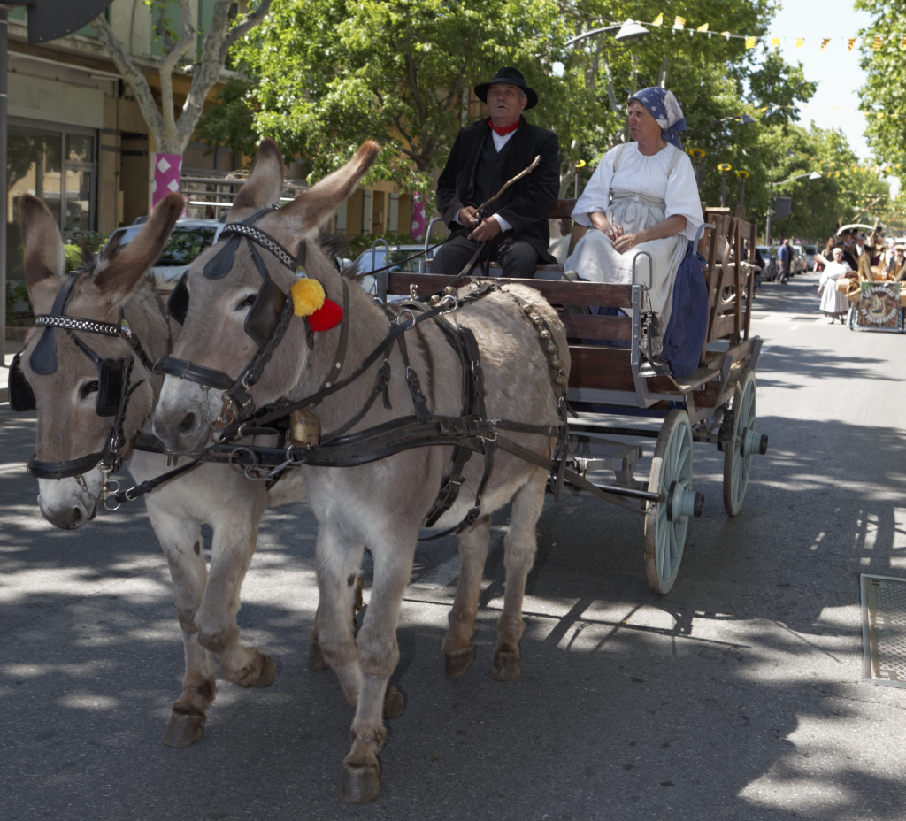 defile en ville 079
