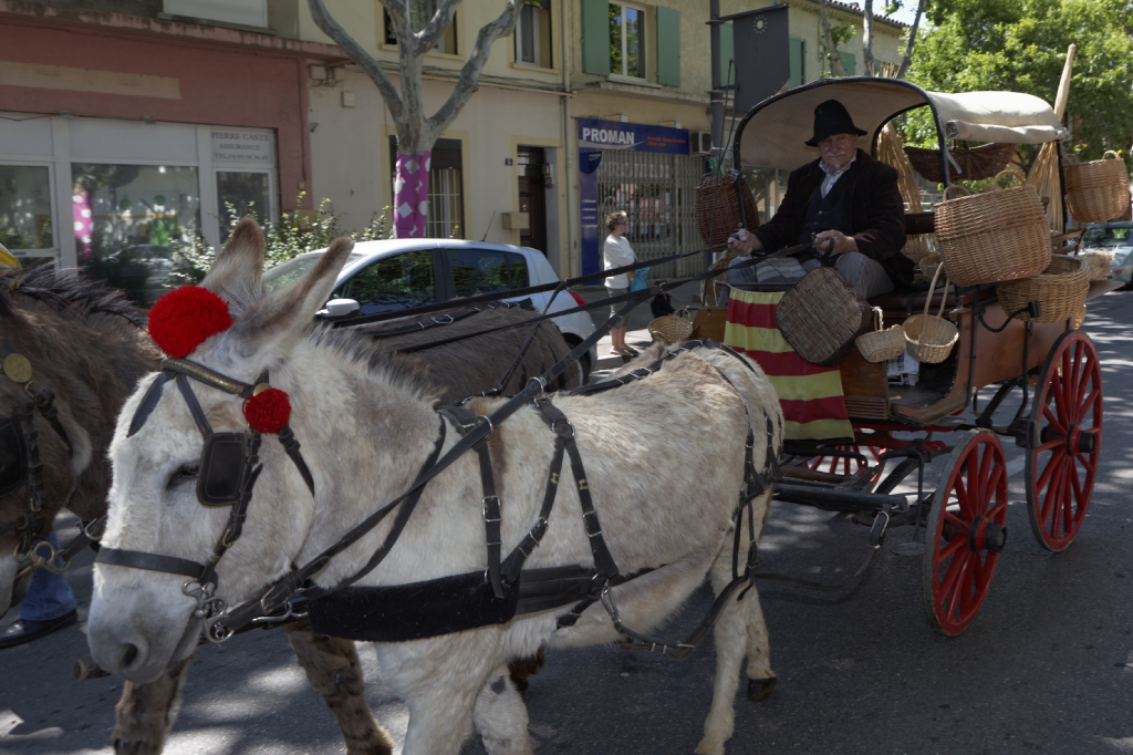 defile en ville 085