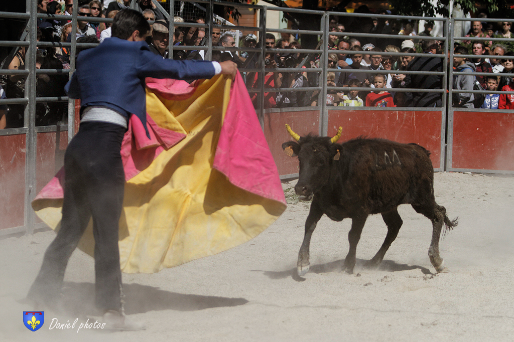 ecole-taurine-Arles 09