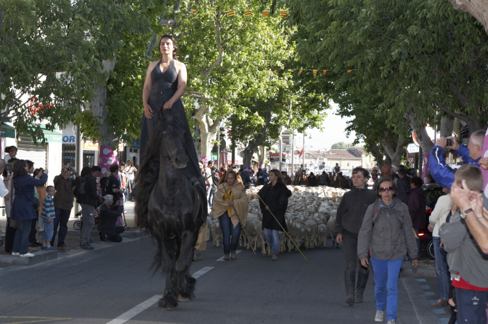 Transhumance-02062013 005