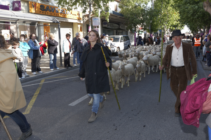 Transhumance-02062013 006