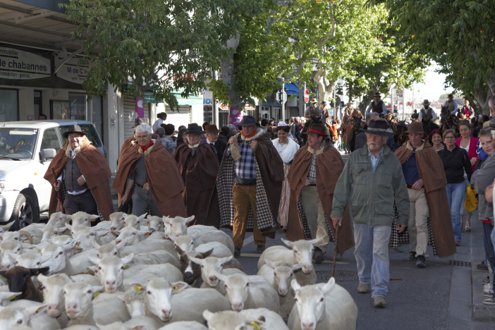 Transhumance-02062013 008