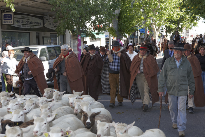 Transhumance-02062013 009