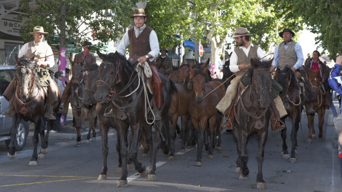 Transhumance-02062013 010