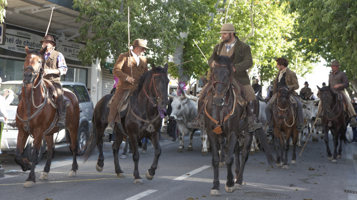 Transhumance-02062013 011