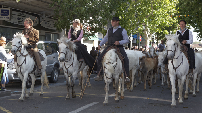 Transhumance-02062013 015