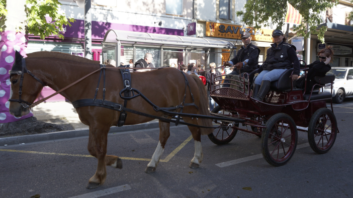 Transhumance-02062013 019