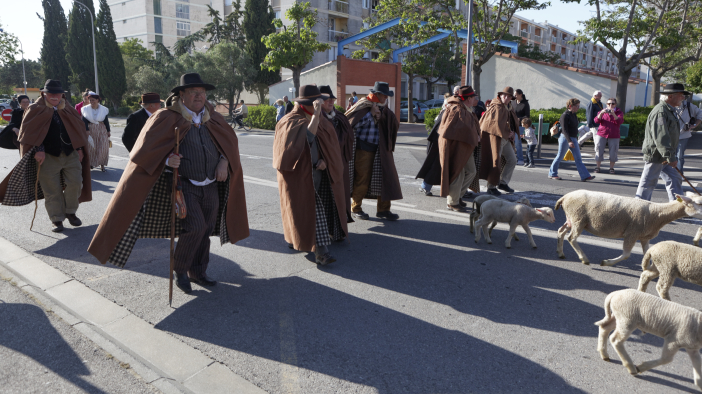 Transhumance-02062013 025