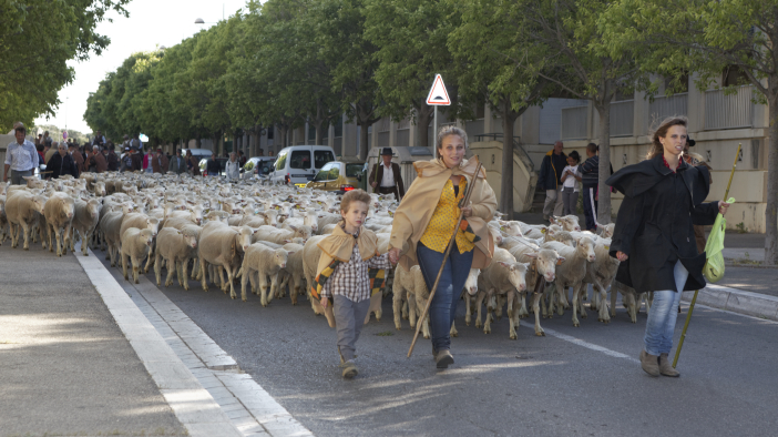 Transhumance-02062013 029