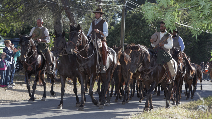 Transhumance-02062013 037
