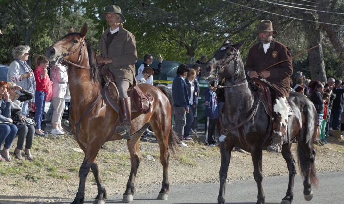Transhumance-02062013 038