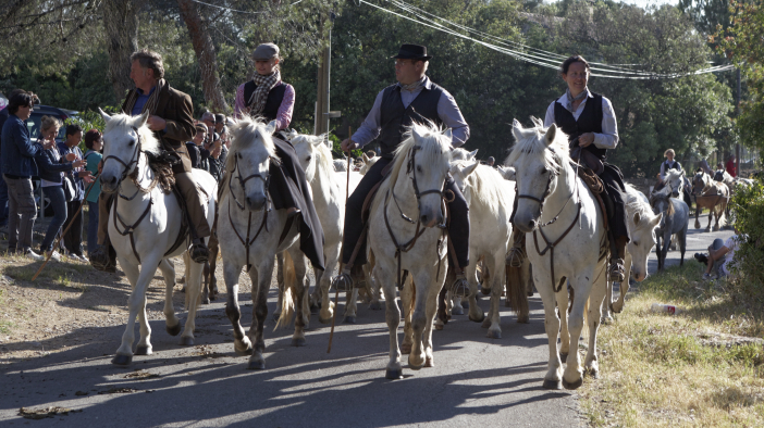 Transhumance-02062013 040