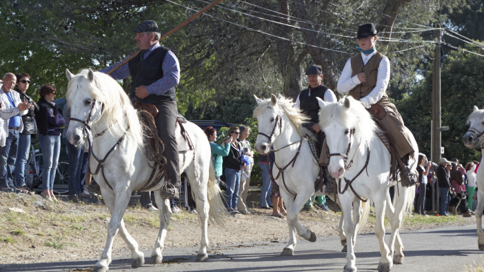 Transhumance-02062013 044