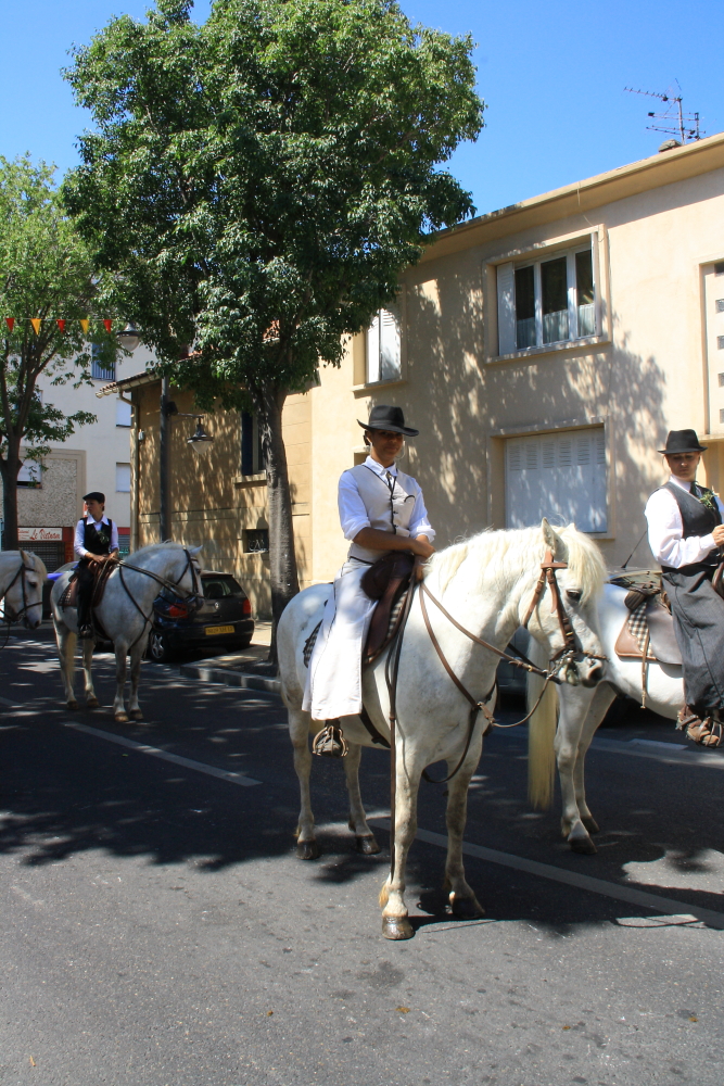 Défilé en centre ville 051