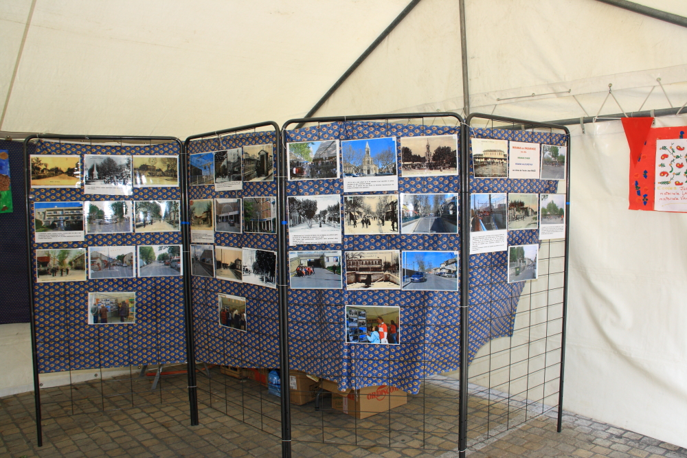 Les exposants 19