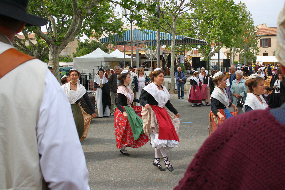 IMG 0454