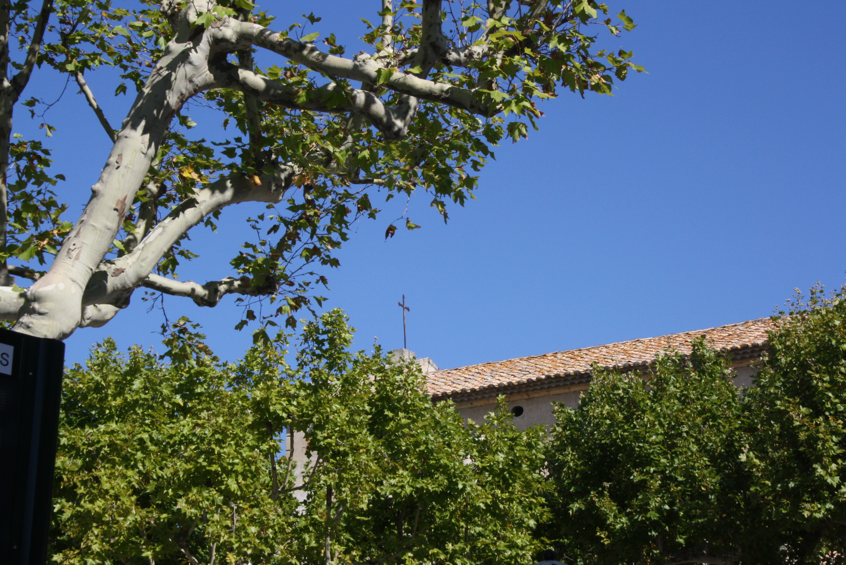 Maussane 13 08