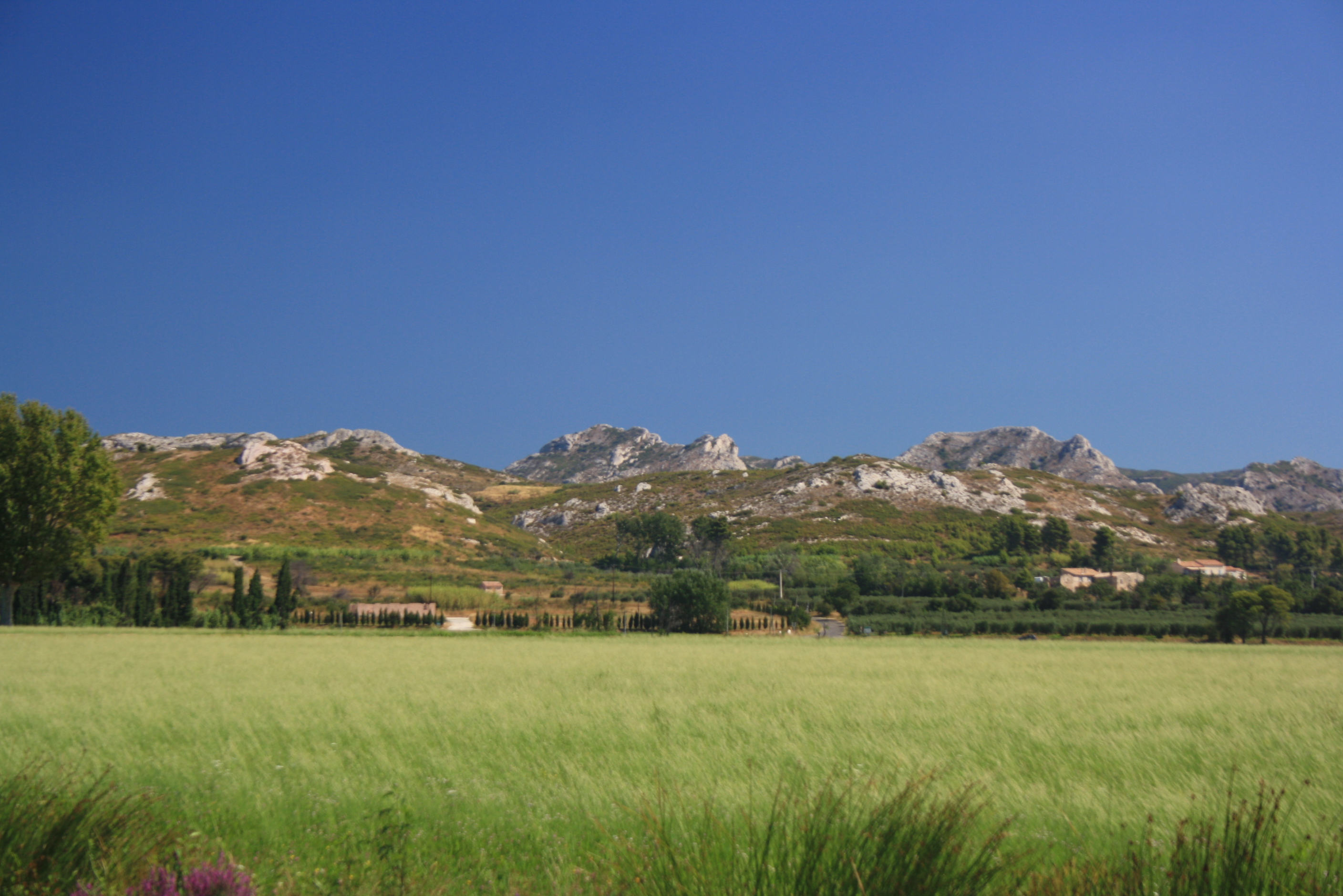 les Alpilles 13 04