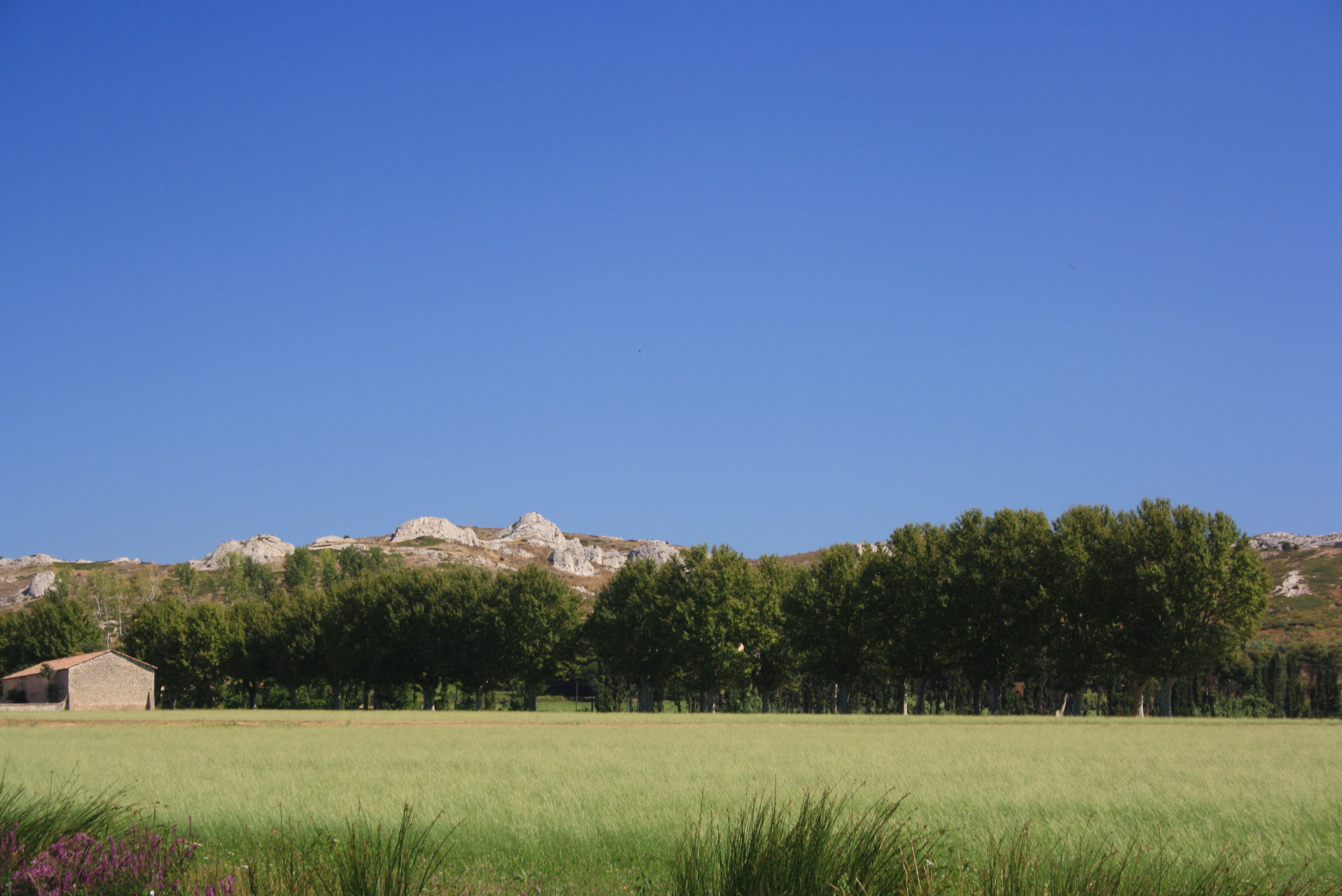les Alpilles 13 08