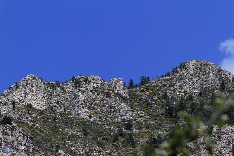 AHP 27072013 26